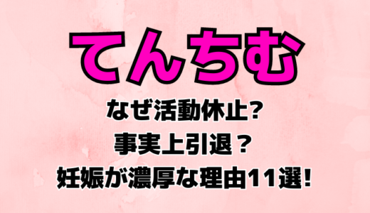 【なぜ】てんちむ活動休止は妊娠が濃厚な理由11選!健康食や卵子凍結で匂わせか